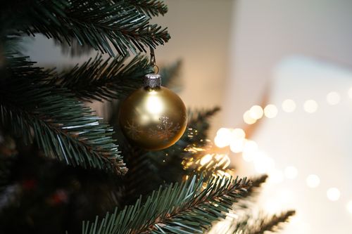 Choinka Świerk Nordycki 180cm na Arena.pl