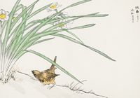 Plakat 100x70cm  Wren and Daffodil. Kashu Japoński Vintage