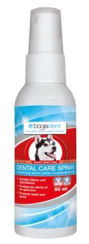 bogadent® DENTAL CARE SPRAY na Arena.pl