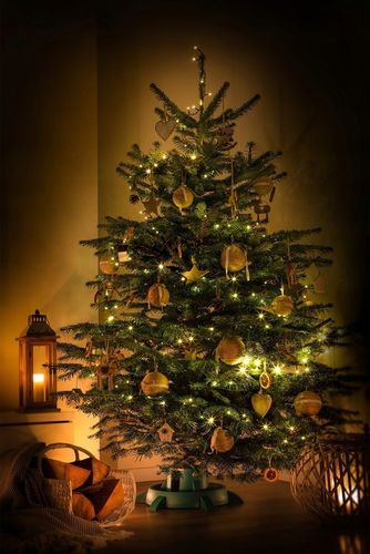 STOJAK POD CHOINKĘ CHOINKI POJEMNIK CHOINKOWY 2,5 L NA DRZEWKO DRZEWKA 1,5m na Arena.pl