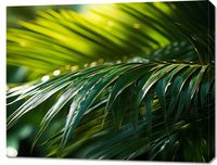 Obraz 90x70cm Zielona Kondensacja