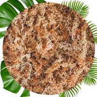 Mech Torfowiec SPHAGNUM 5L Podłoże do Storczyka Ukorzeniania Naturalny