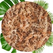 Mech Torfowiec SPHAGNUM 5L Podłoże do Storczyka Ukorzeniania Naturalny