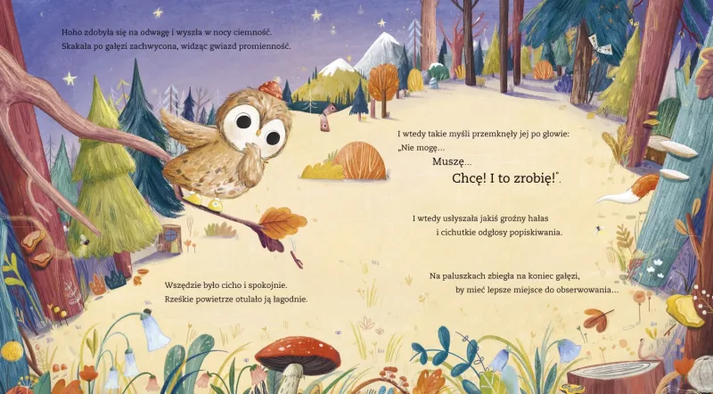 Amberek. Odwagi, sówko zdjęcie 4