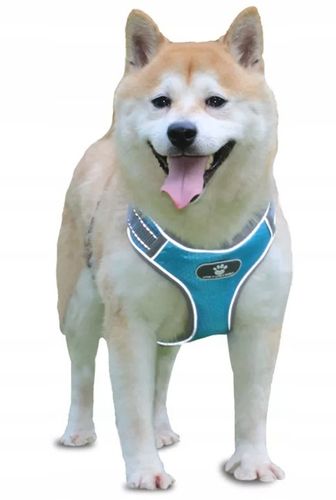 SZELKI DLA PSA MOCNE TYPU GUARD SPACEROWE BEZUCISKOWE REGULOWANE rozmiar M na Arena.pl