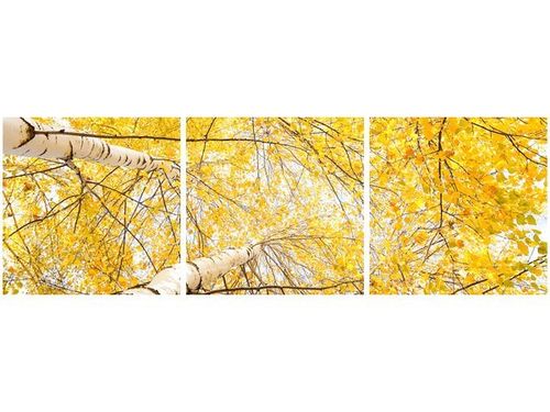 70 90CM OBRAZ 3 ELEM BRZOZA ŚCIENNY DRUK PŁÓTNO na Arena.pl