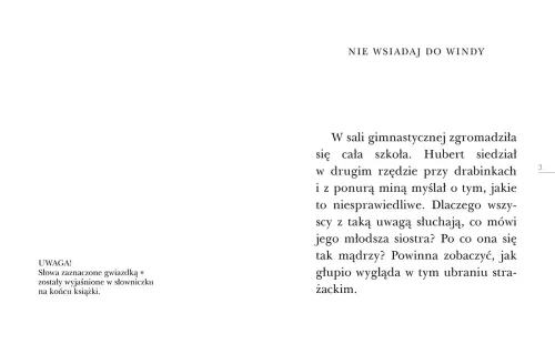 Czytam Sobie. Poziom 3. Pożar W Fabryce na Arena.pl