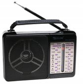 RADIO PRZENOŚNE Kuchenne Skala Na Baterie FM 2371