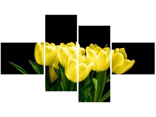 140CM 70 OBRAZ ŻÓŁTE TULIPANY- MARK FREETH ŚCIENNY na Arena.pl