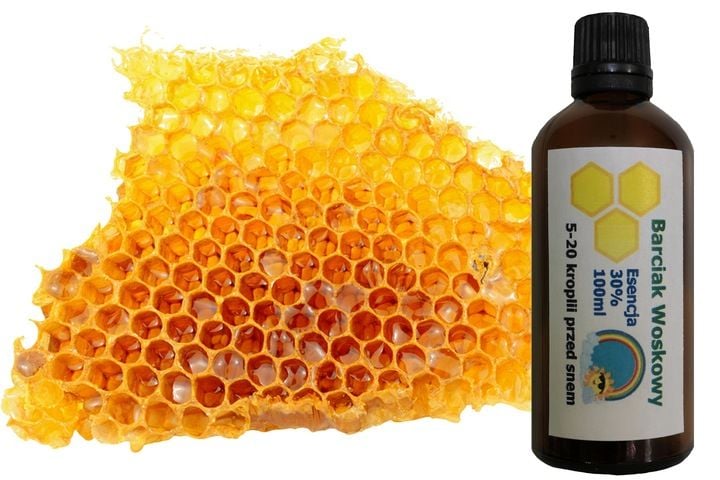 Barciak Woskowy Barciak Ulowy Ćma Mol 100ml zdjęcie 6