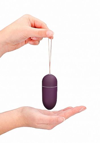 10 Speed Remote Vibrating Egg - Big - Purple na Arena.pl