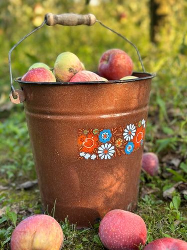 Sok jabłko malina tłoczony naturalny 100% 5L z maliną, malinowy dla na Arena.pl