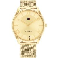 Zegarek Męski Tommy Hilfiger 1710515 Złoty (Ø 43 mm)