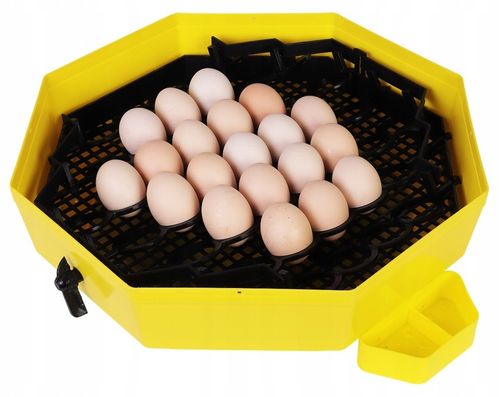 INKUBATOR CLEO 5DTHE 60/41 JAJ WYLĘGARKA KLUJNIK LCD TERMOMETR TACA na Arena.pl