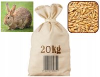 Owies Paszowy Ziarna Pasza Karma dla Królików Koni 20KG 100% owsa Polska