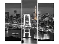 OBRAZ RAINBOW BRIDGE WANGAN