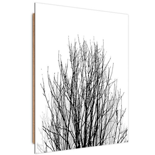 Deco Panel, Korona drzewa 60x80 na Arena.pl