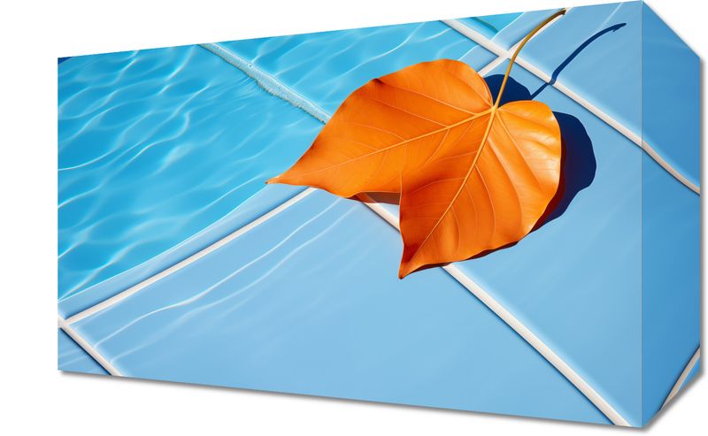 Obraz 30x20cm Liść przy Wodzie zdjęcie 1