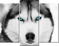 product-compare-58672450