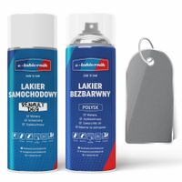 lakier samochodowy w sprayu + bezbarwny połysk renault ted69 platingrau