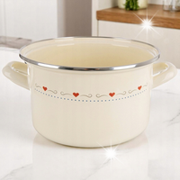 Garnek Emaliowany do Gotowania Tradycyjny na Gaz Indukcję 22 cm 4L