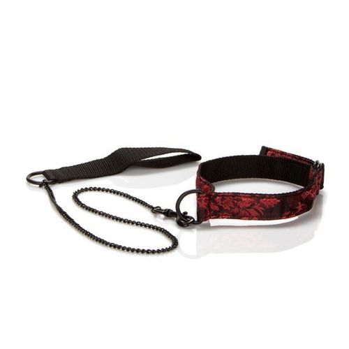 Scandal Submissive Kit na Arena.pl