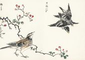 Plakat 35x25cm Dosky Thrush, Kashu Japoński Vintage do Salonu