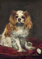 Plakat 13x18cm A King Charles Spaniel,  Edouard Manet do Salonu