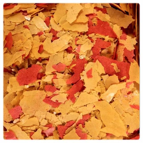 GLOPEX BASIC, EIGELB i VEGETAL MIX pokarm 3x1L na Arena.pl