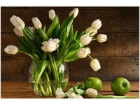 OBRAZ BUKIET JASNYCH TULIPANÓW KWIATY