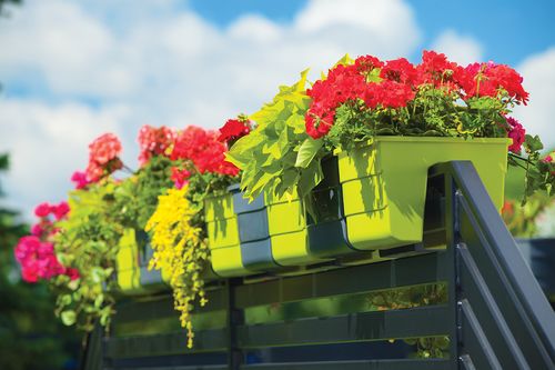 Doniczka na balustradę Wave 30 | Platyna na Arena.pl