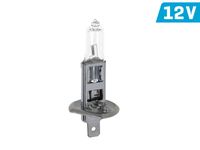 Żarówka VISION H1 12V 55W P14,5s U E4