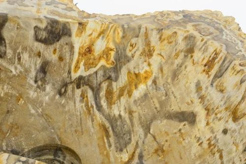 Umywalka z kamienia naturalnego FOSSIL DIVERO - duża na Arena.pl