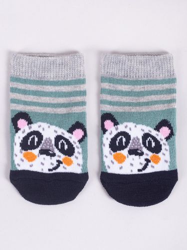 Skarpety niemowlęce chłopięce zwierzątka 6PAK 3-6 miesięcy YOCLUB na Arena.pl