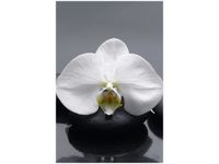 product-compare-58649787