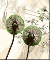 60CM 50CM OBRAZ ŚCIENNY DMUCHAWCE ZIELENI DRUK PŁÓTNO