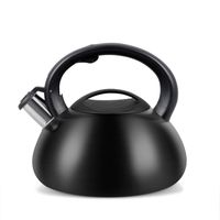 Czajnik PROMIS TMC01BS  AUGUSTO MATOWY  3 litry    INDUKCJA, GAZ