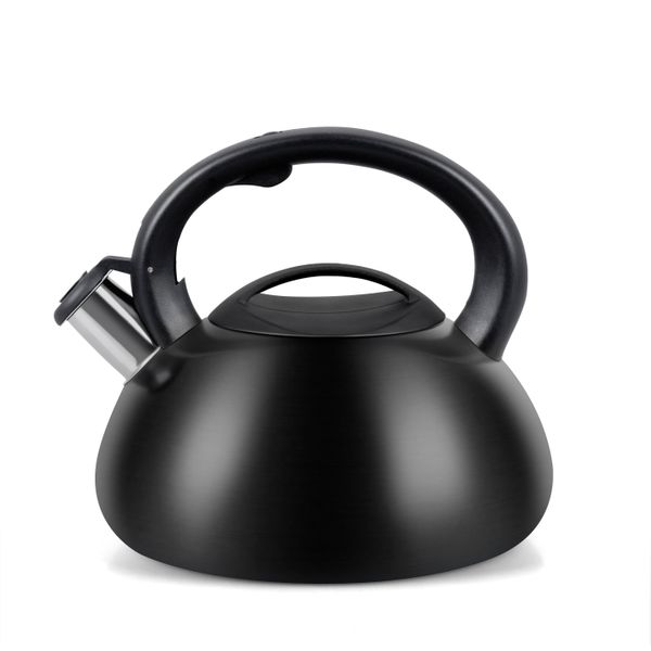 Czajnik PROMIS TMC01BS AUGUSTO MATOWY 3 litry INDUKCJA, GAZ zdjęcie 1