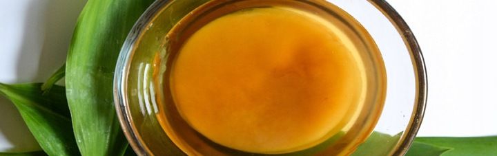 Kombucha, Grzyb Herbaciany 1 szt. zdjęcie 2