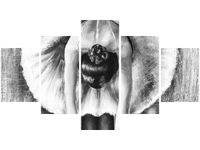 75CM 120 OBRAZ 5 ELEM BALETNICA CZERNI BIELI ŚCIENNY DRUK