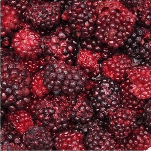 JEŻNY LIOFILIZOWANE 100g Jeżyna 100% POLSKA PROSZEK HiFOOD na Arena.pl