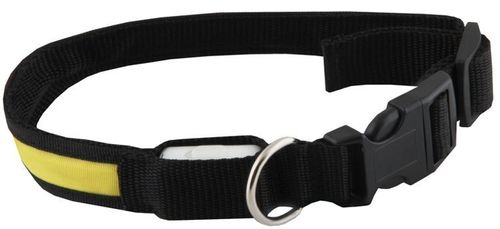 Obroża LED żółta - M na Arena.pl