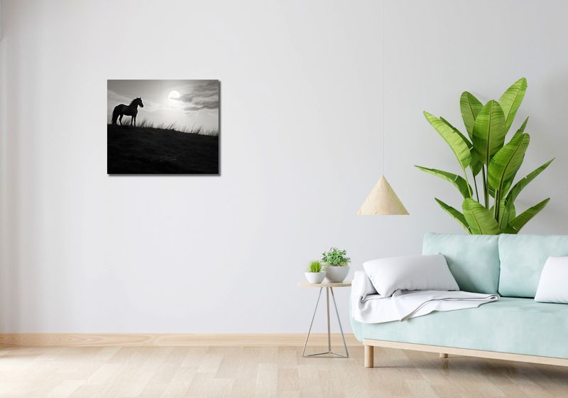 Obraz 60x50cm Księżycowa Straż zdjęcie 2