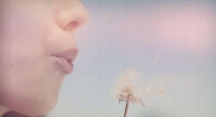 Prezent Depilator PHILIPS Lumea IPL BRI977/00 SenseIQ do depilacji światłem na Arena.pl