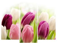 60 90CM OBRAZ 3 ELEM SOCZYSTE TULIPANY ŚCIENNY DRUK PŁÓTNO