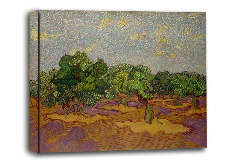 Olive Trees, Vincent van Gogh - obraz na płótnie 70x50 cm zdjęcie 1
