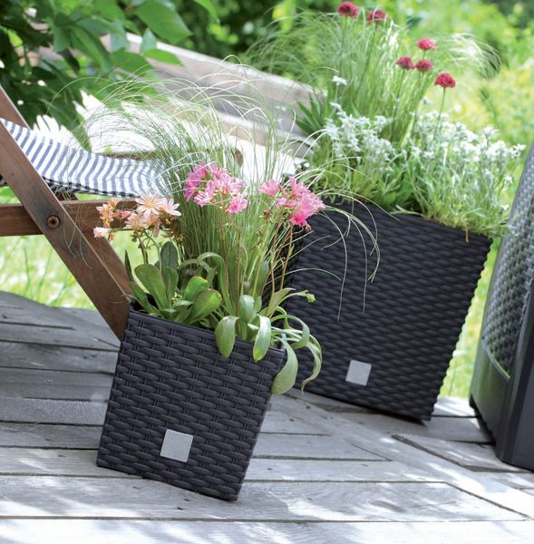 Doniczka RATO niska DRTS325L z wkładem | Umbra zdjęcie 10