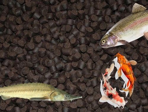 5kg 4,5mm Aller Bronze tonący karma pokarm pasza pstrąg karp worek na Arena.pl