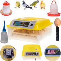 INKUBATOR KLUJNIK WYLĘGARKA JAJ WYLĘGU DROBIU 54 j