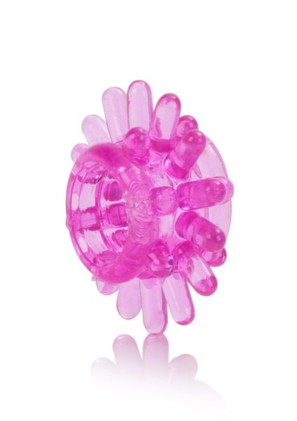 Senso 6 Pack Multicolor zdjęcie 5